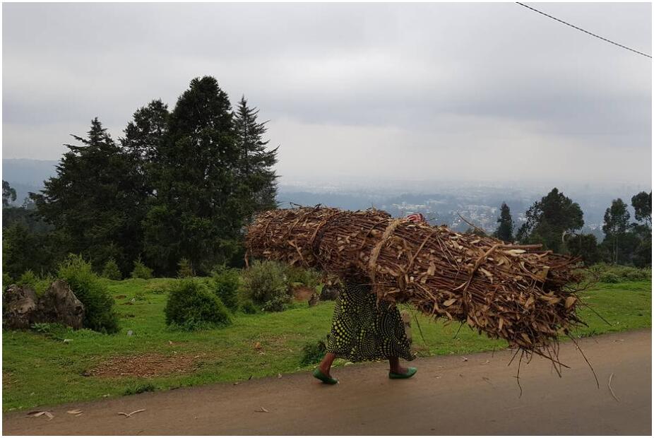 Woman carries firewood down Mount Entoto