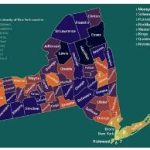 New York Population
