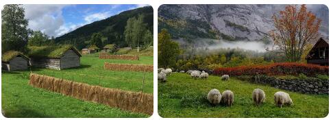 Norway Agriculture